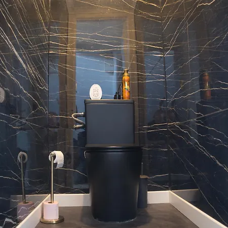 Apparement Plein Centre