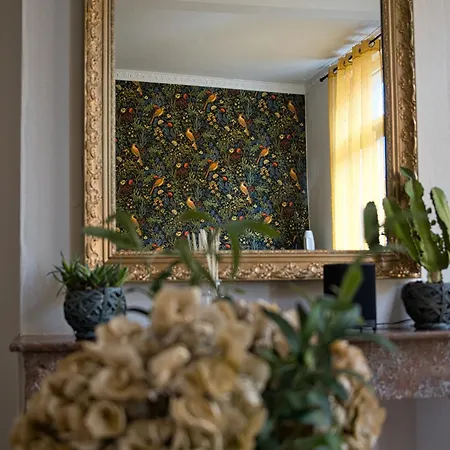 Apparement Plein Centre