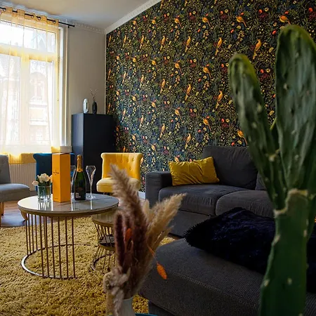 Apparement Plein Centre Apartment