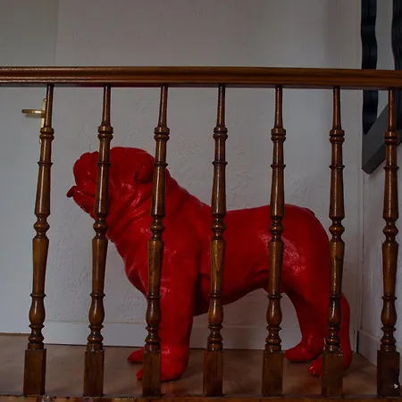 Apparement Plein Centre